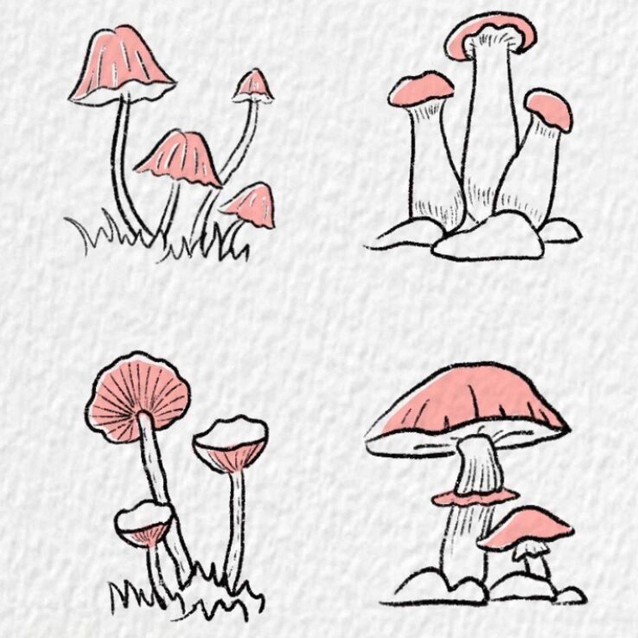 毒蘑菇简笔画预防图片