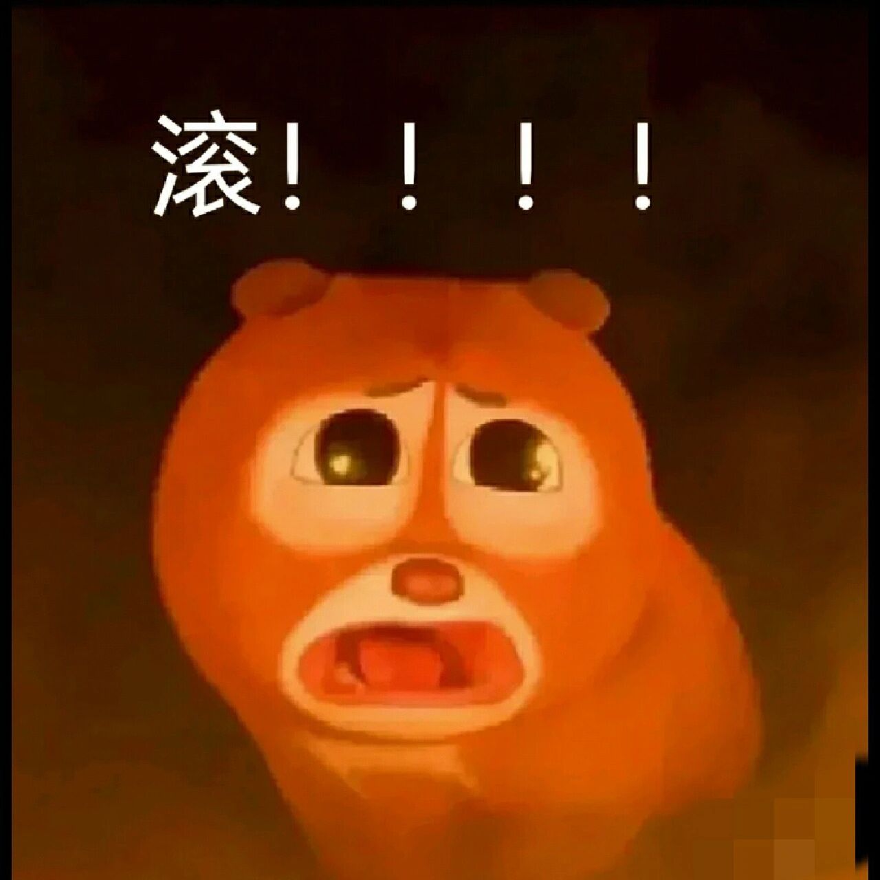 熊出没之伴我熊芯表情包第3期