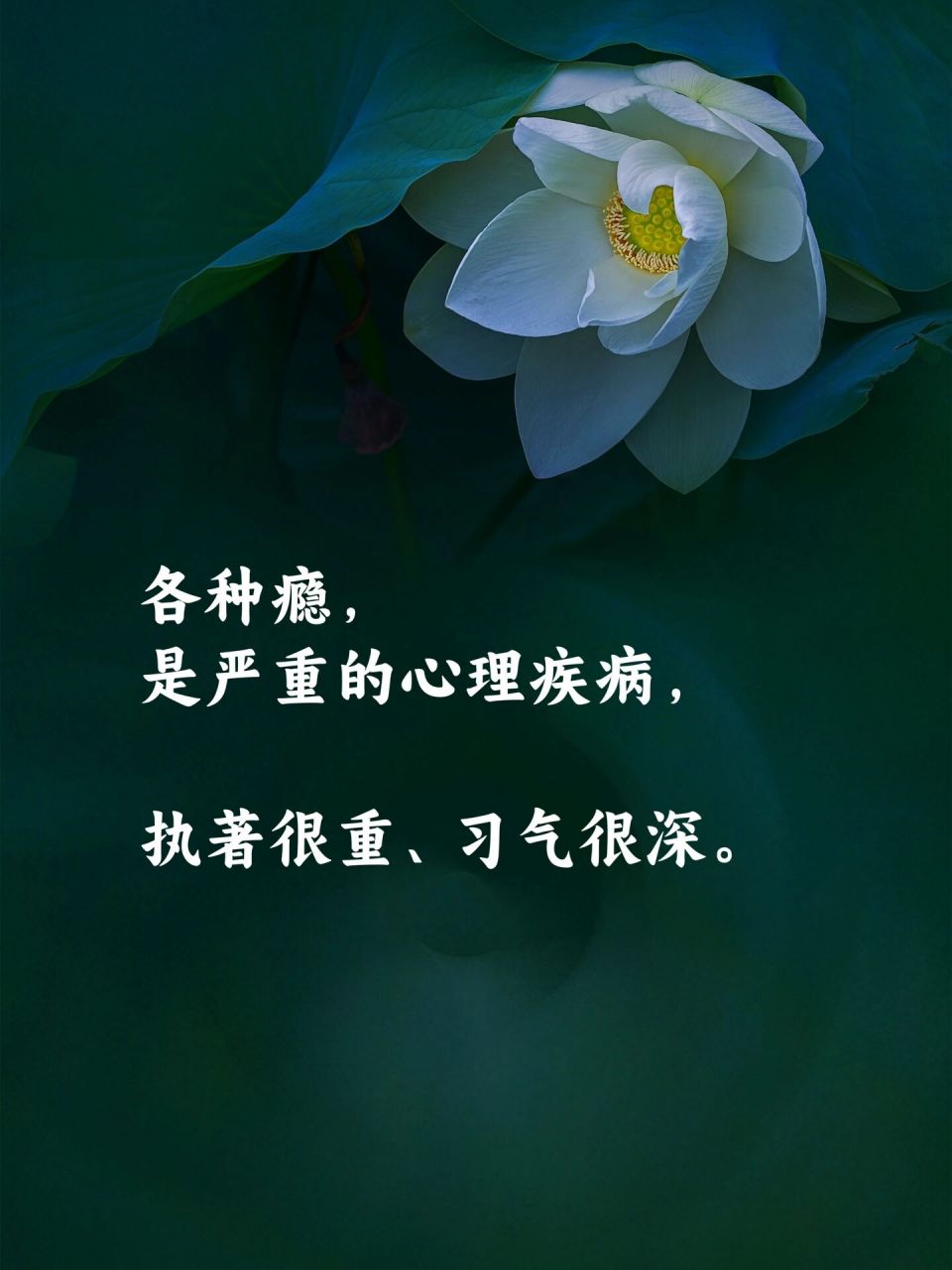 怎样改变各种瘾? #禅悟人生