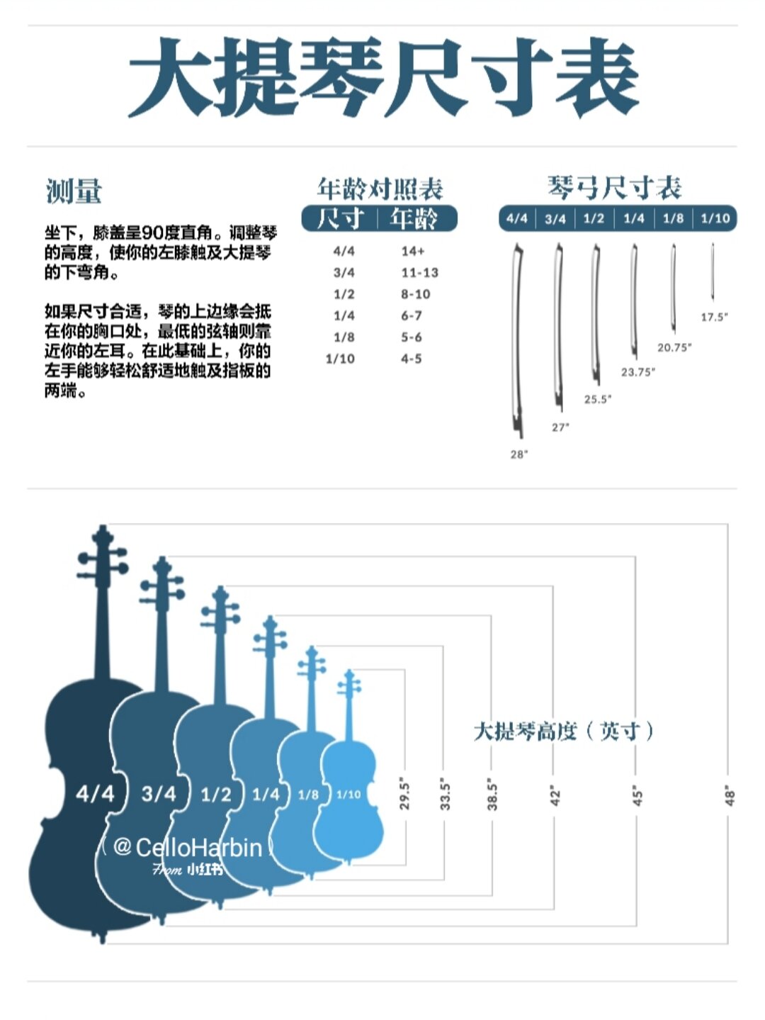 大提琴琴码位置示意图图片