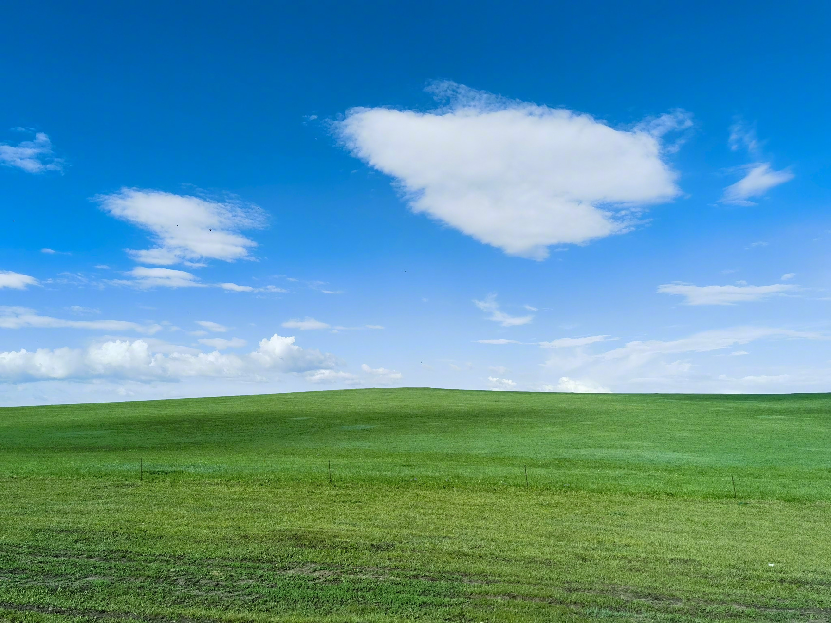 今儿全天winxp,眼睛真舒服.  呼伦贝尔草原这日子值得来.