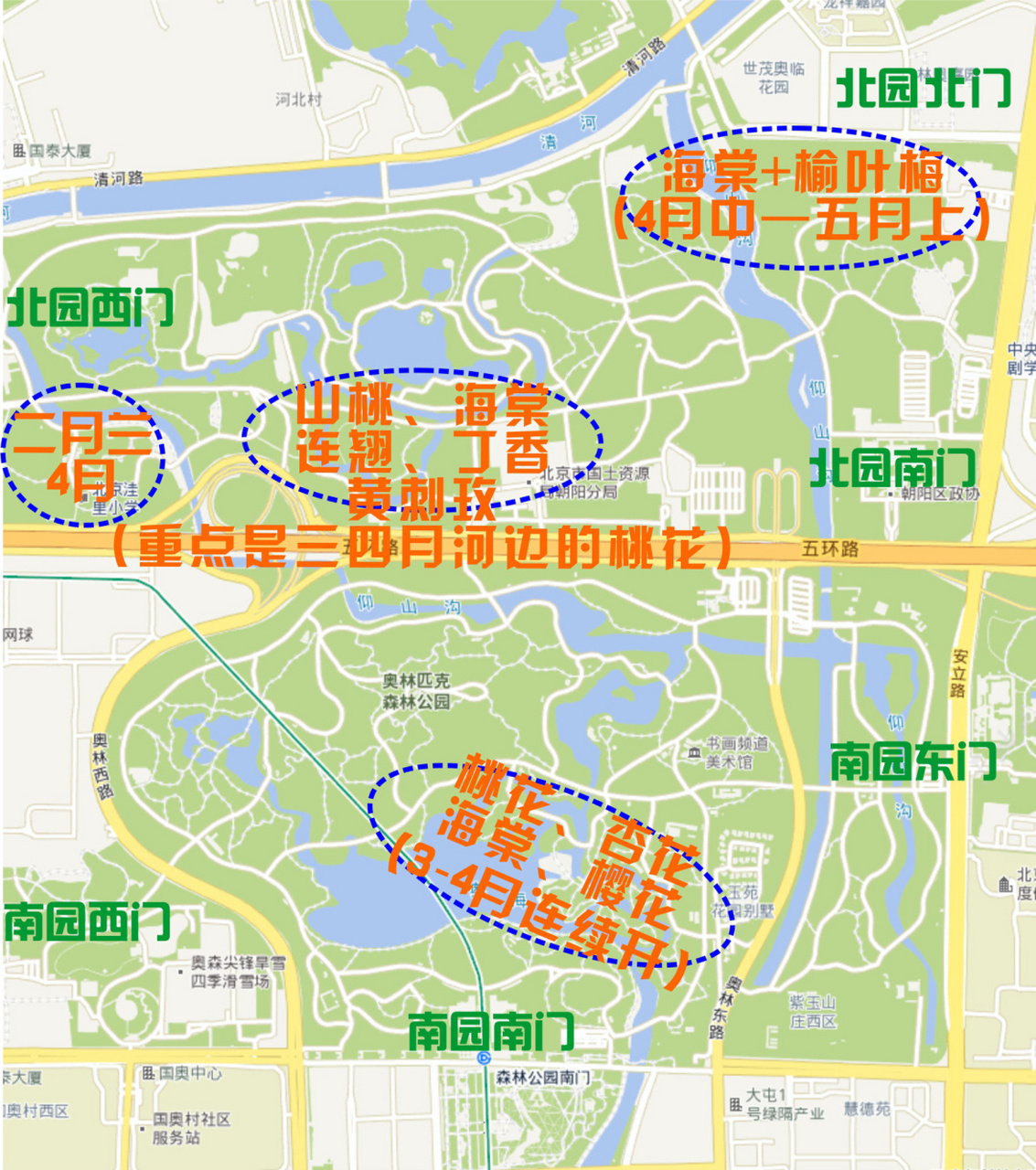 北京奥森公园赏花指南(时间表 路线推荐) 98由于住的离奥森近,天气