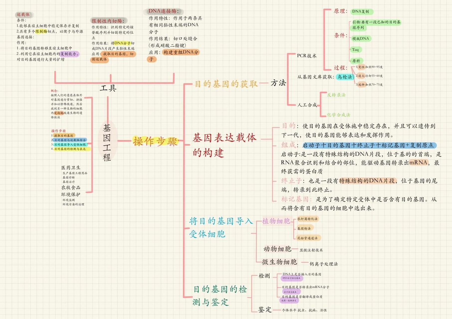 浅整理了细胞工程胚胎工程基因工程思维导图