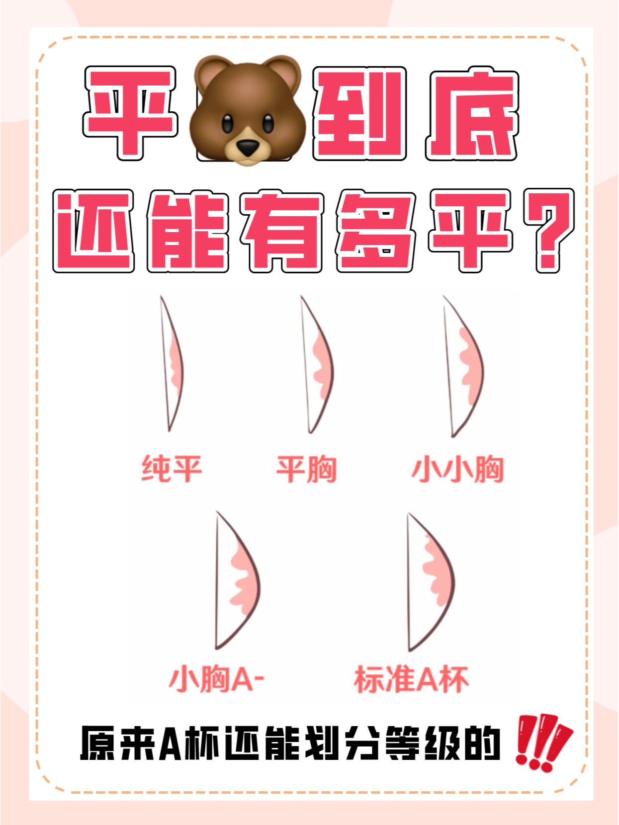 太卷了吧😨 平胸居然还有划分等级⁉️