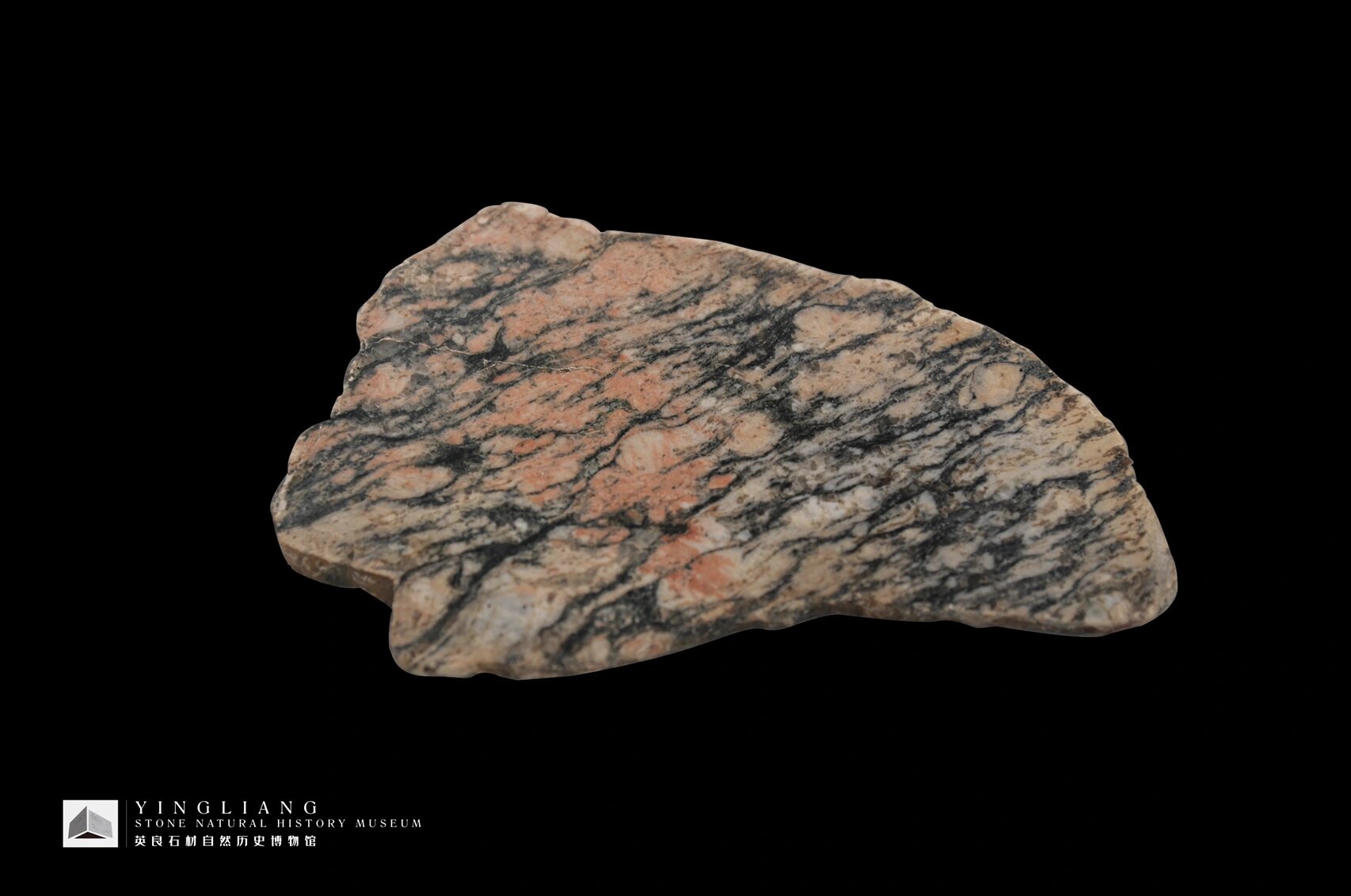 阿卡斯塔片麻岩