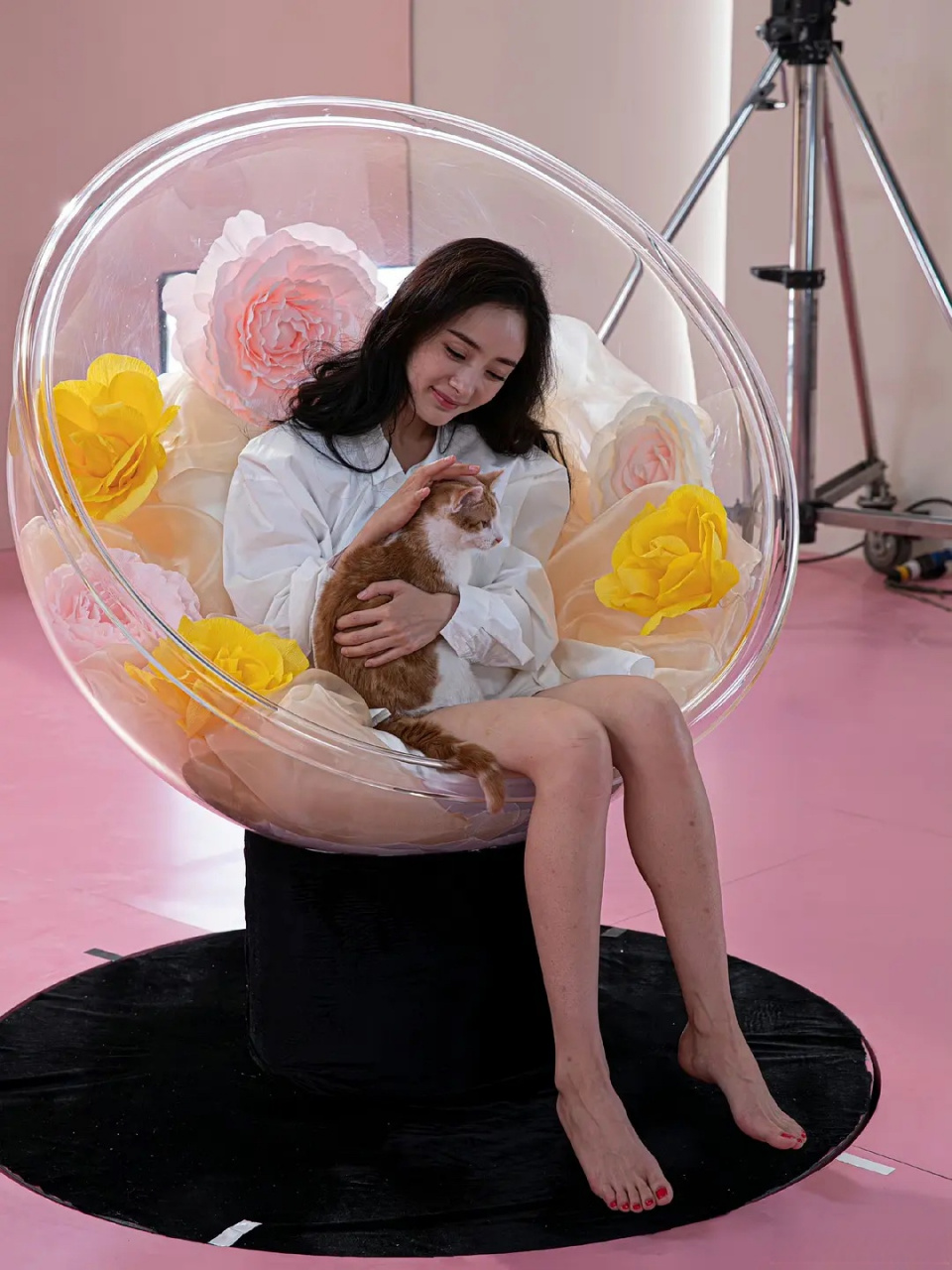 杨幂的腿这是怎么了,感觉好多疤啊还有点鸡皮肤[惊哭]