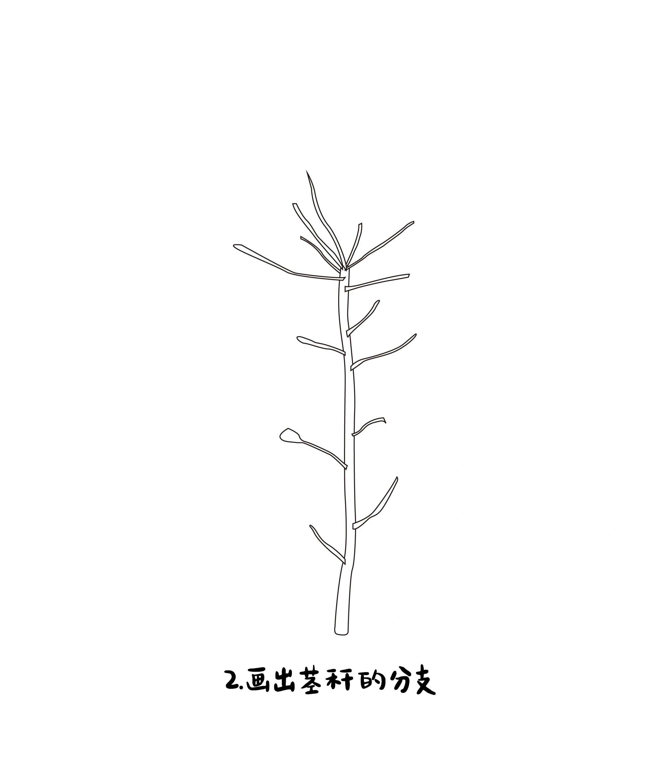 油菜花怎么画