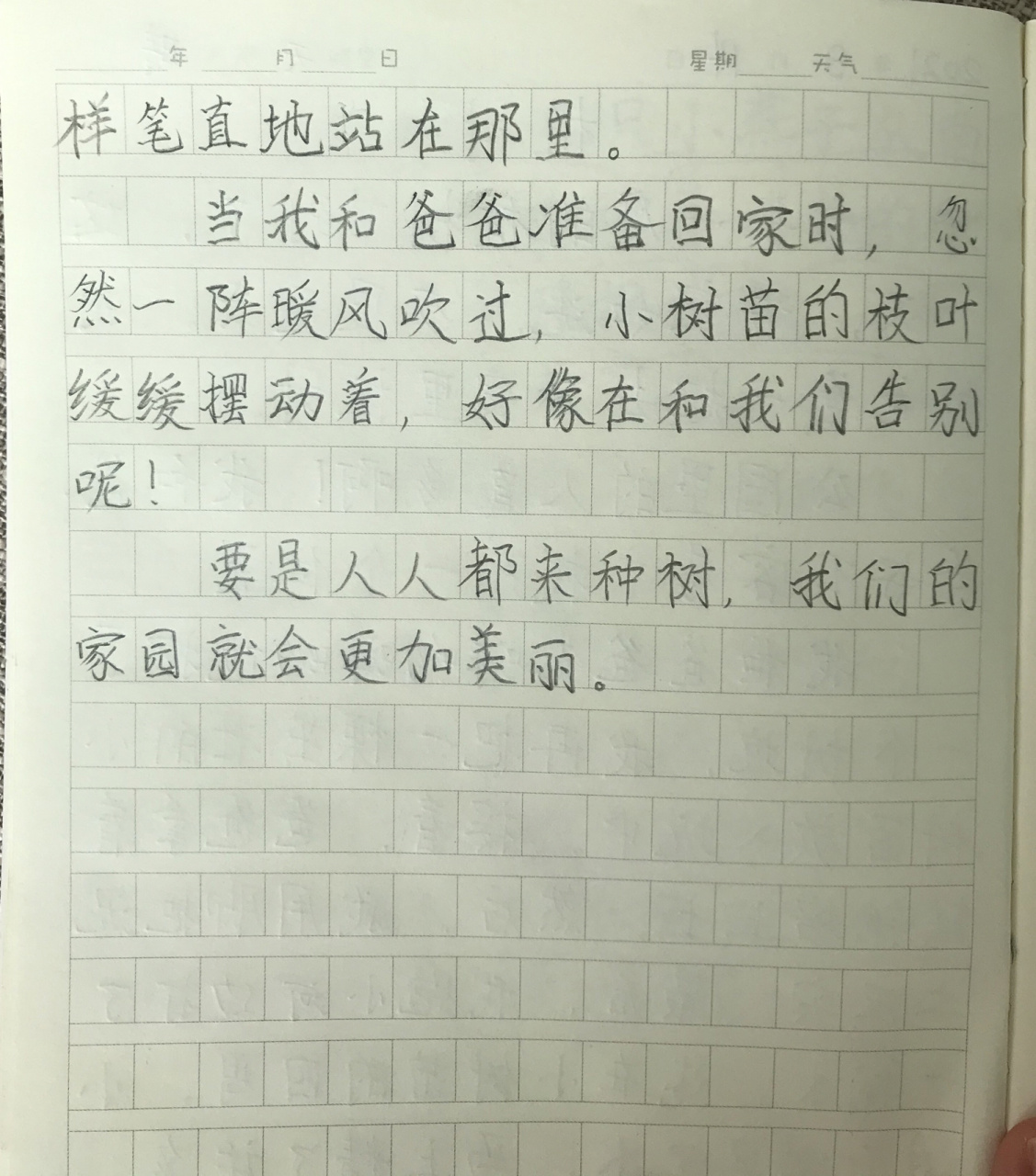 植树作文50字图片