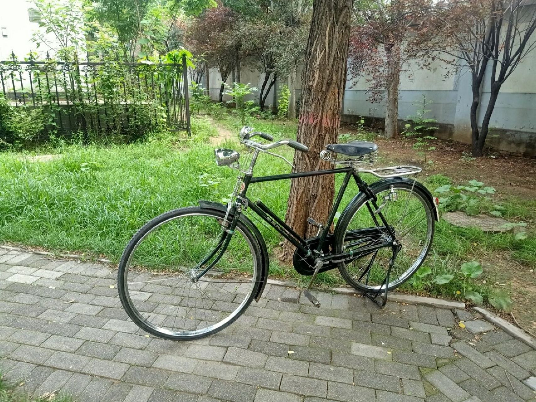 老式自行车 凤凰spb25型 1967年墨绿色凤凰spb25型,此车为当时的英制