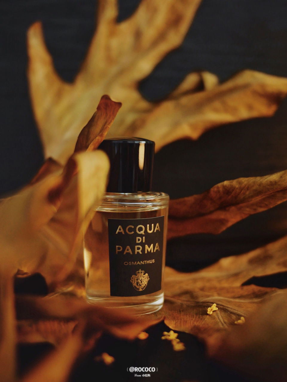 试着用它搭配新入的香水,果然秋意浓浓.