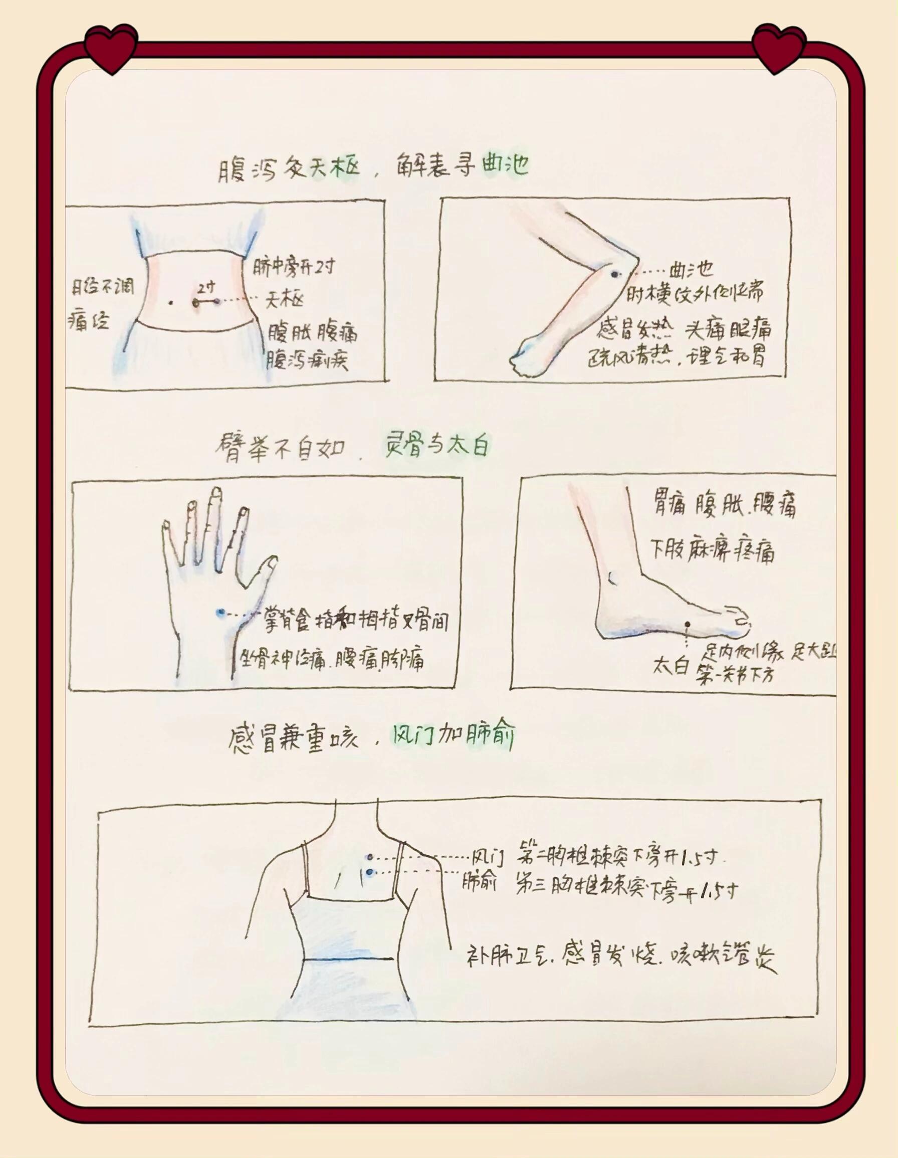 24穴位歌诀手绘笔记 肚腹三里留,腰背委中求; 头项寻列缺,面口合谷收.