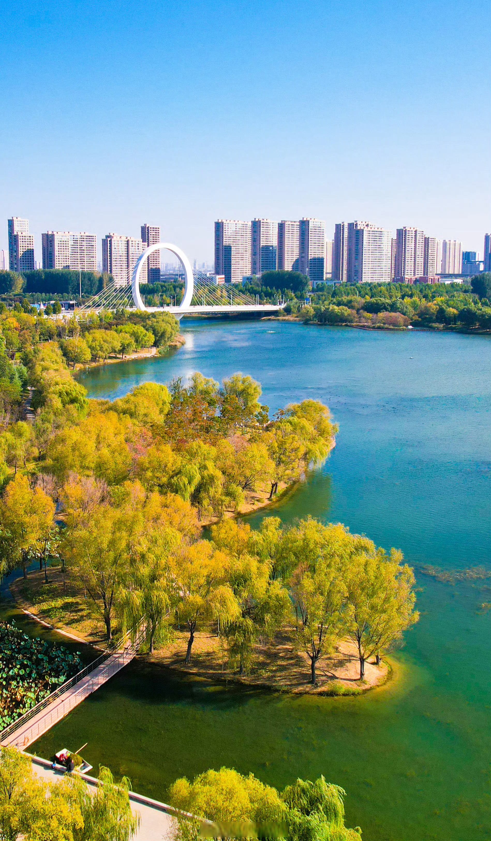 都跟你说了郑州的秋超级美# 连续阴冷了几天的天空开始放晴,蓝天与