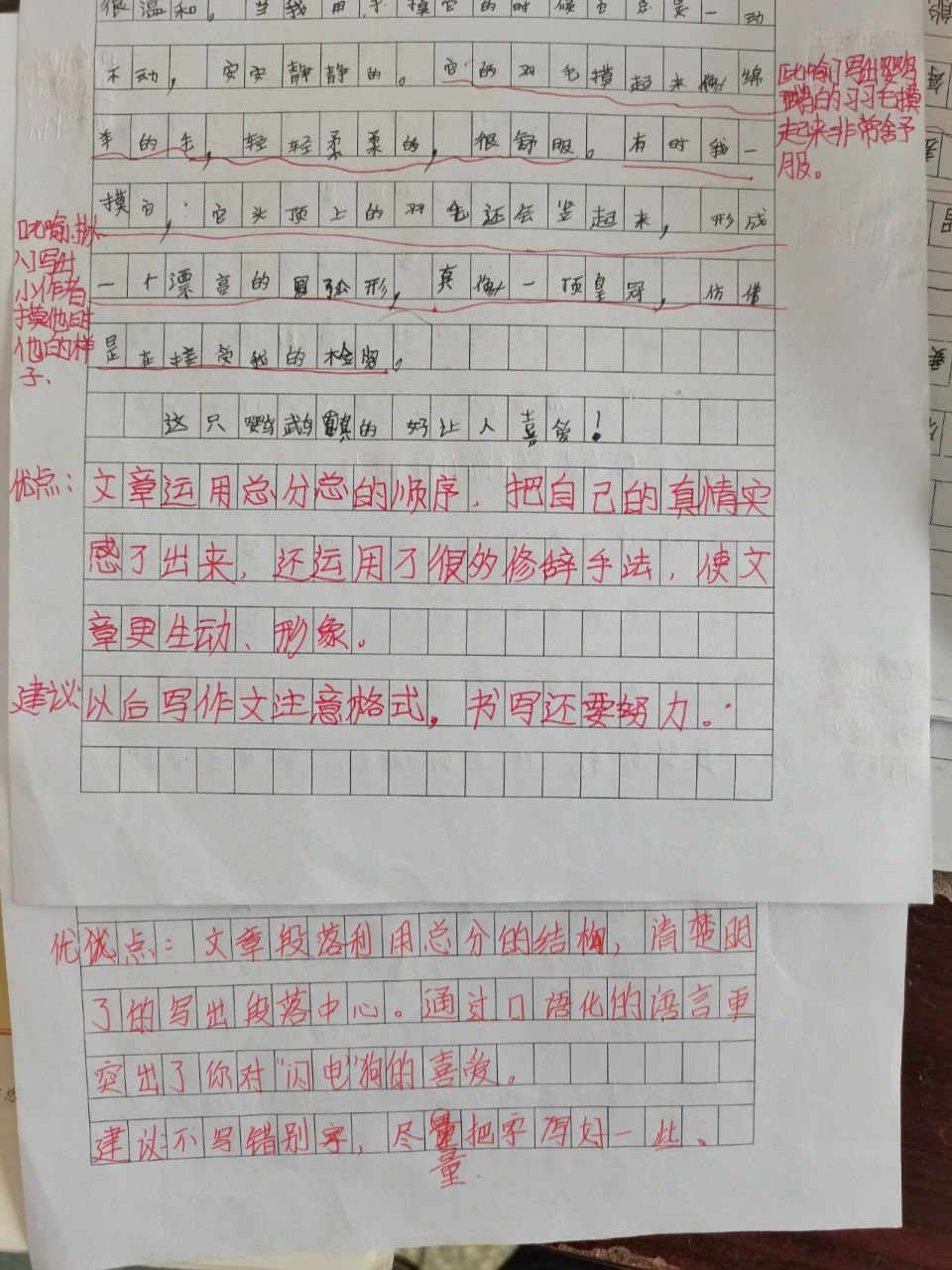 四下四单元我的动物朋友作文评语 有好些是孩子们批改的,给他们点赞