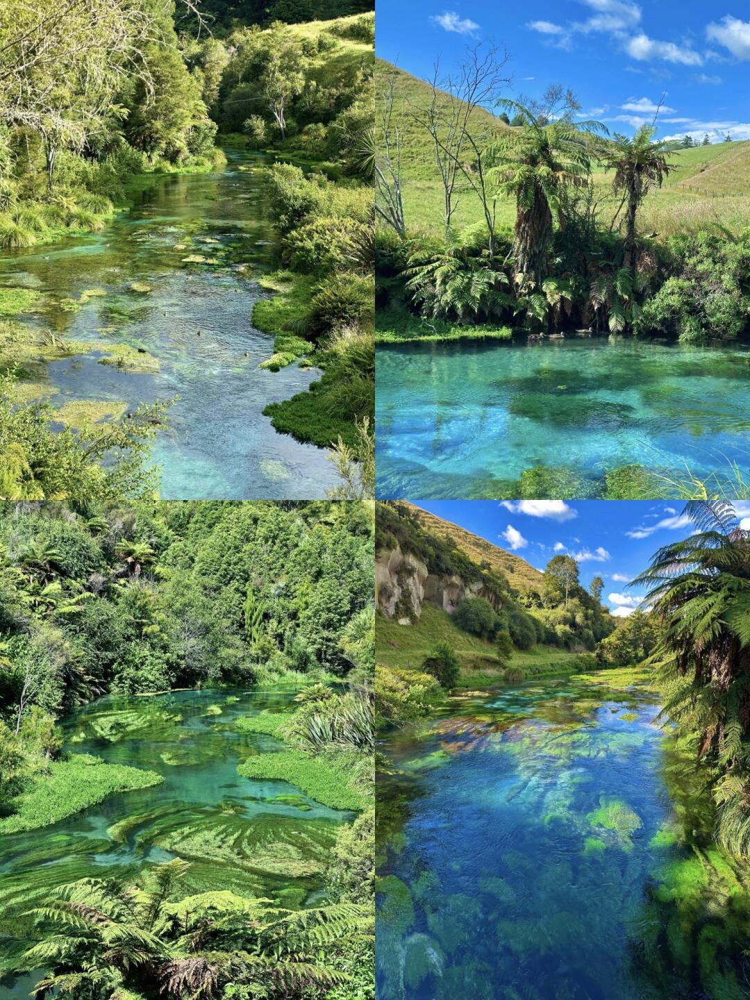 新西兰蓝泉现实中的潘多拉星球