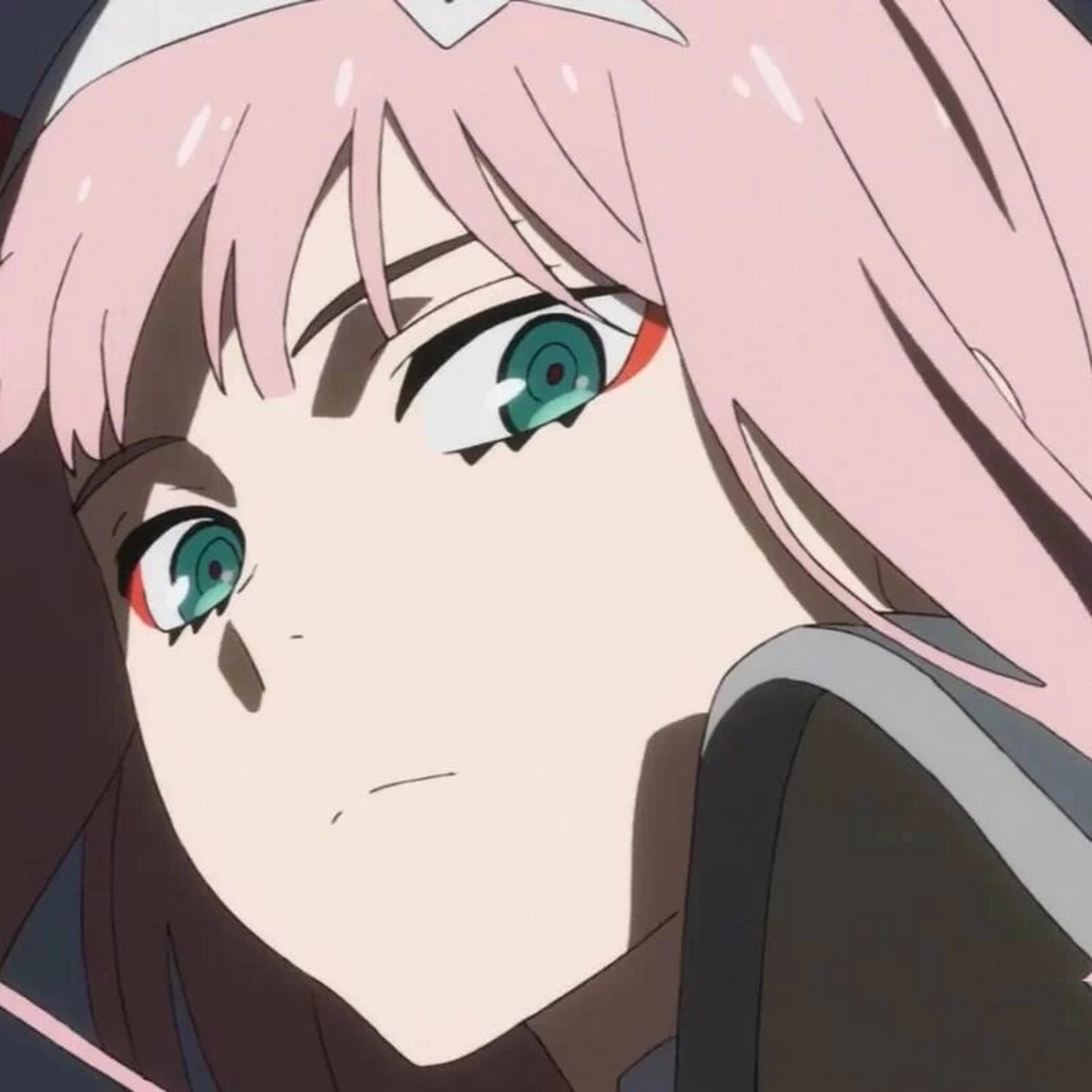 《darling in the franxx 02》 02国家队 和广驾驶的鹤望兰是一种花的