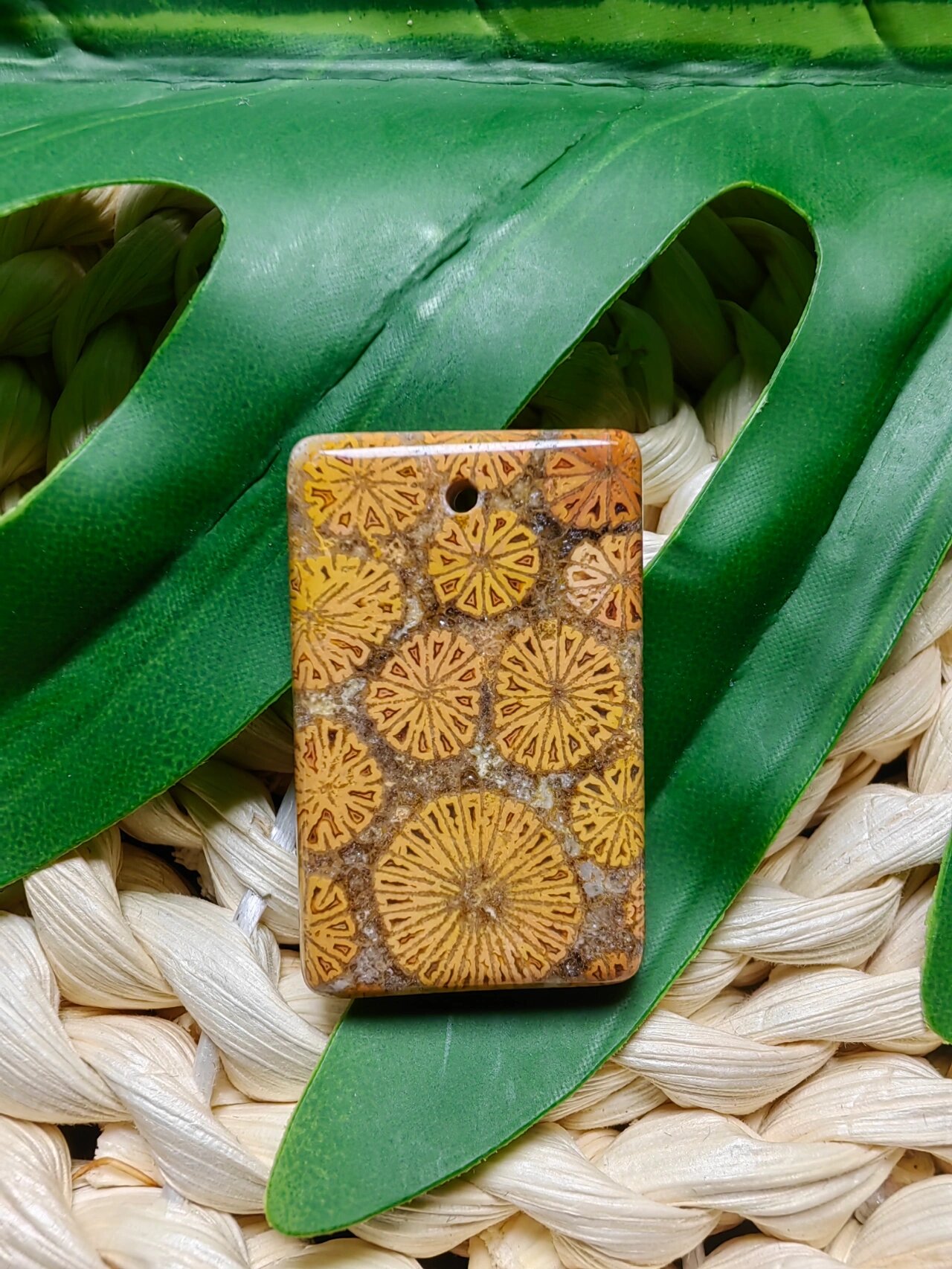 珊瑚玉之特殊花型①