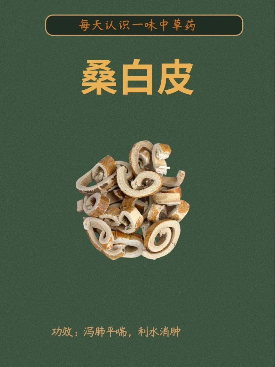 别名:桑根皮,桑根白皮,白桑皮,桑皮 主要功效:泻肺平喘,利水消肿 性