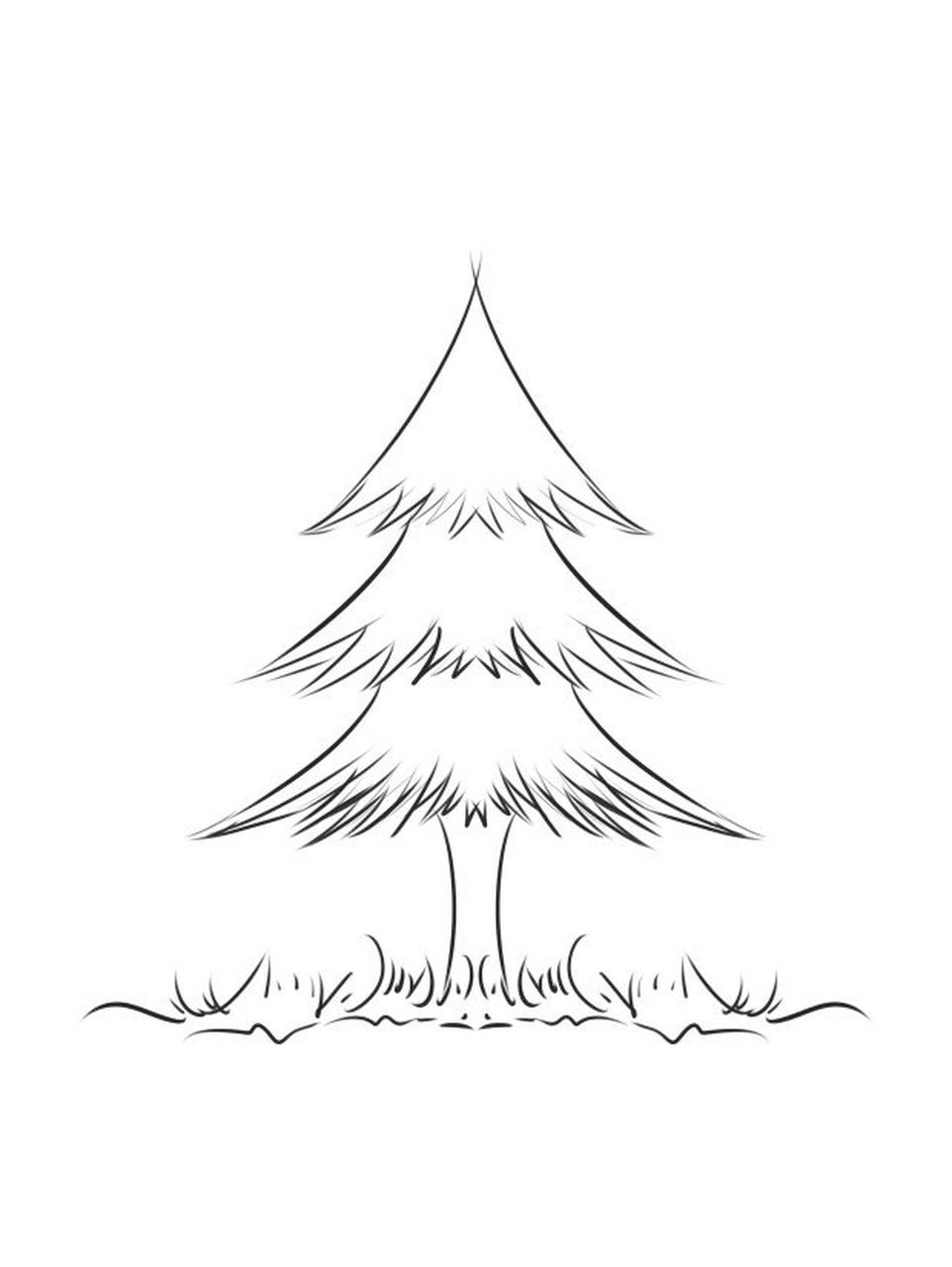 被雪覆盖的圣诞树来了哟.