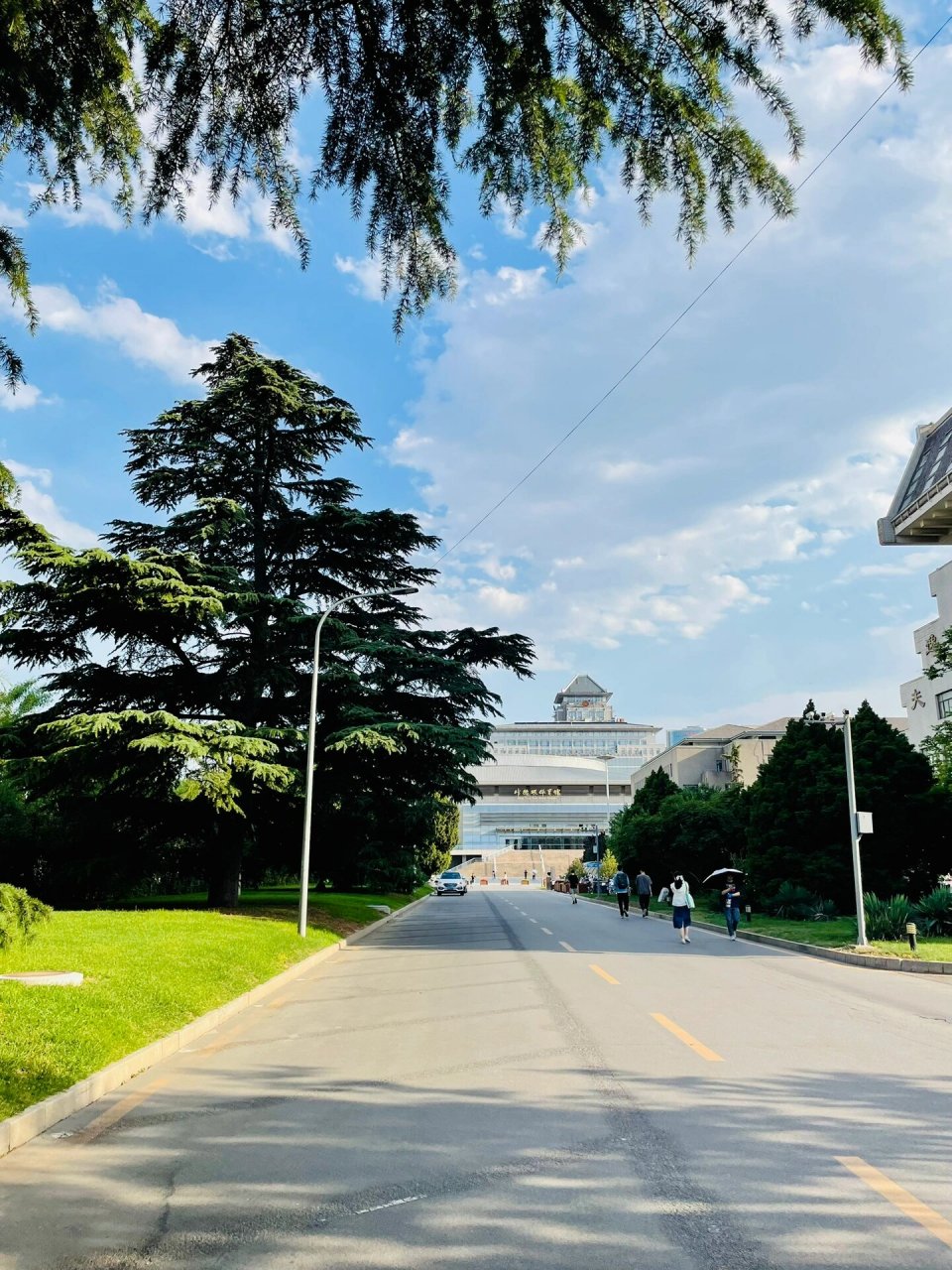 北京大学校园美景 北京大学开放教职工和学生预约通道了,找个热情似火