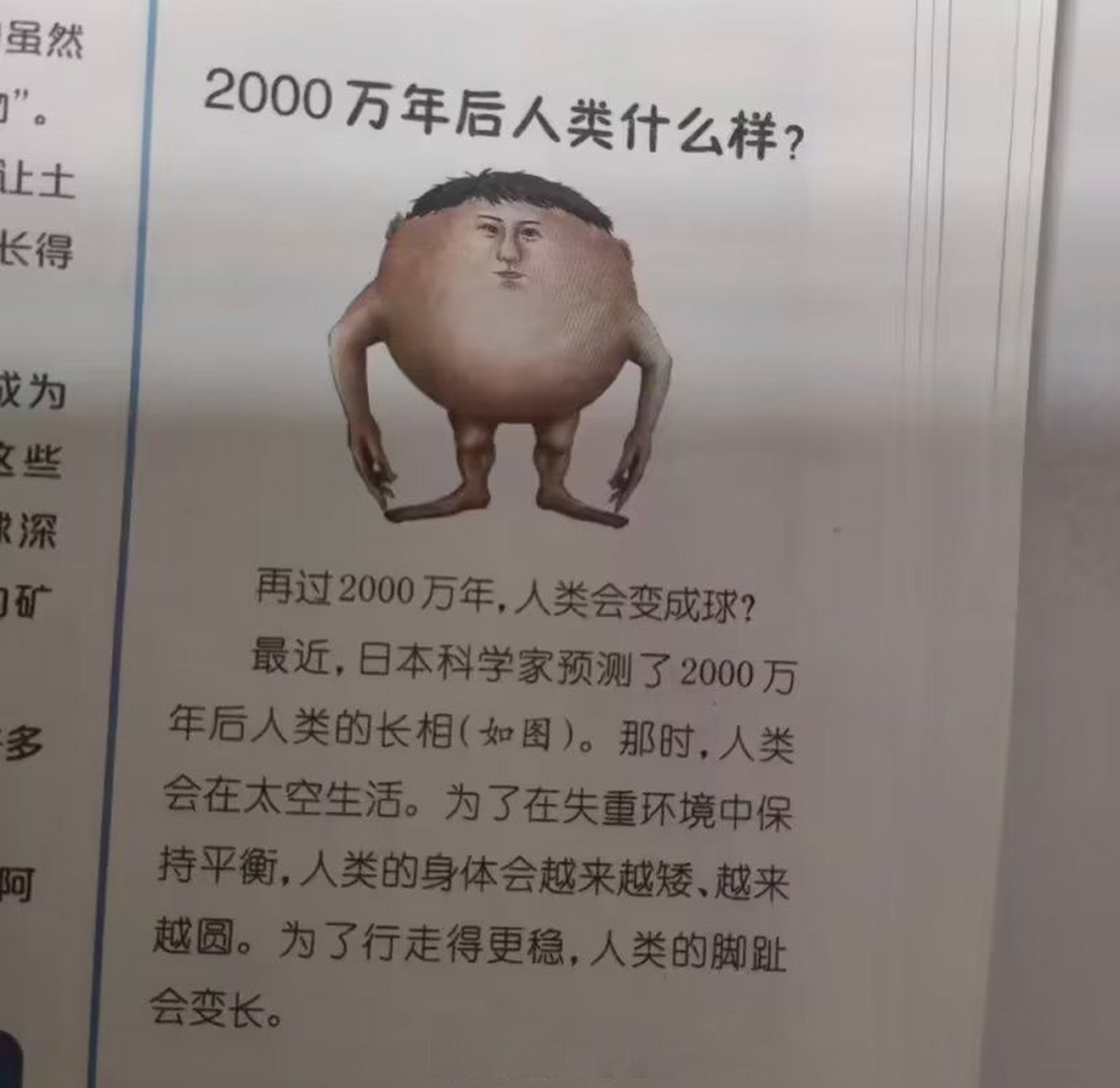 再过2000万年,人类会变成蛋仔