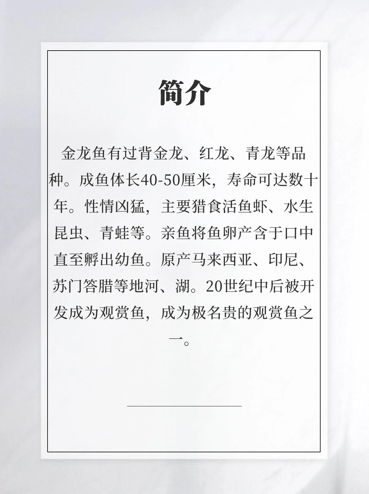每天认识一种鱼(龙鱼) 金龙鱼有过背金龙,红龙,青龙等品种.