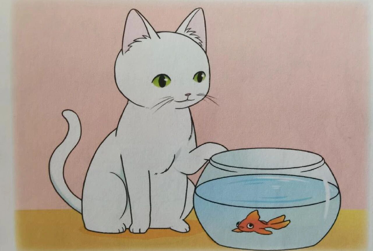 看图写话 可爱的小猫