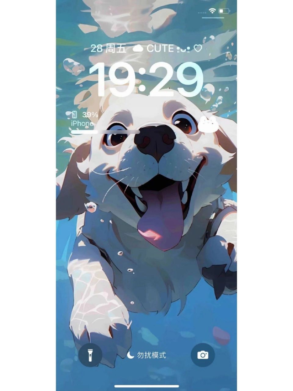 一起去游泳嘛!猫猫狗狗当壁纸也太可爱了吧