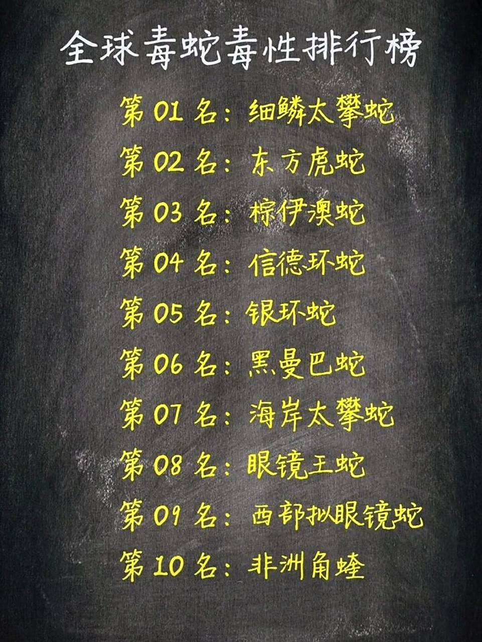 全球毒蛇毒性排行榜 全球毒蛇毒性排行榜国学