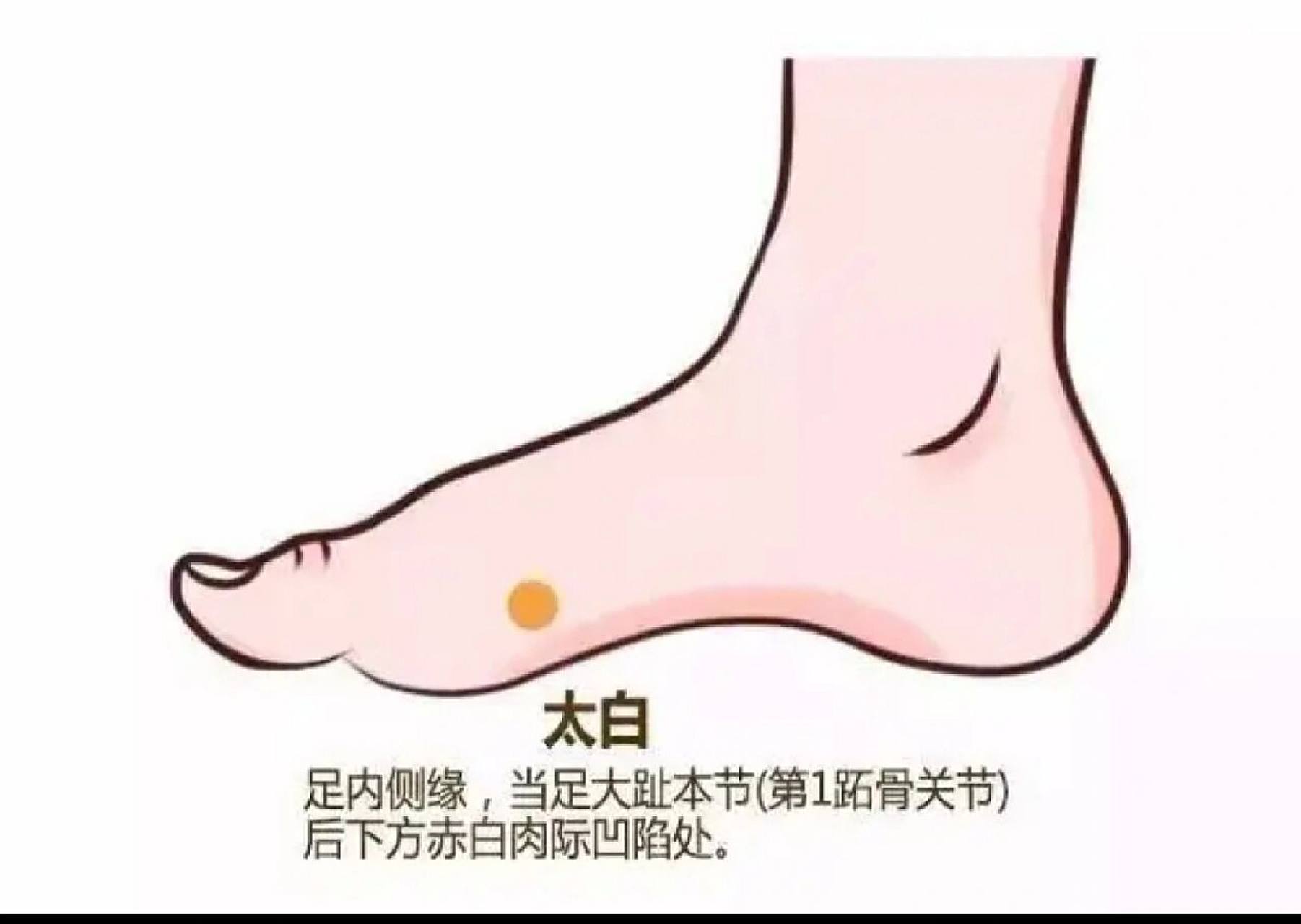 位置:在足内侧缘,当足大趾本节(第一跖趾关节)后下方赤白肉际凹陷处