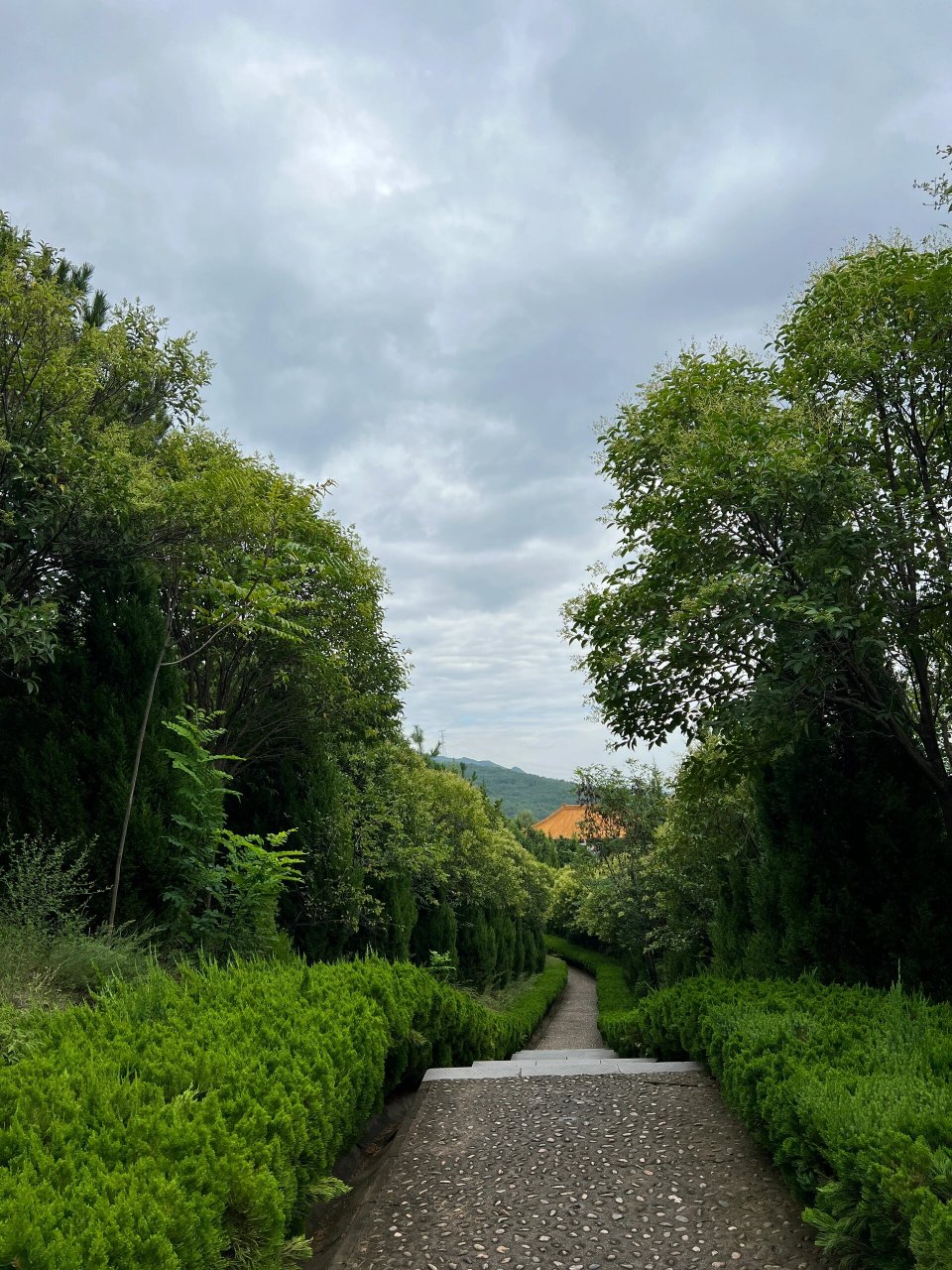 08西安出发自驾宝鸡岐山周原景区 打工人周末不想宅家里,说走就走去