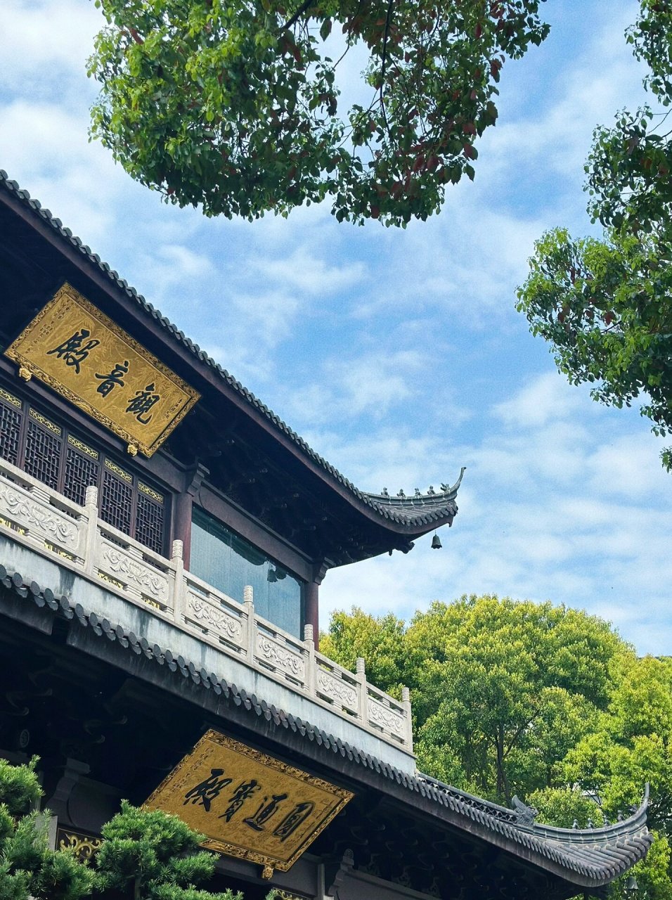 宁波西林禅寺,地方不大,却很好待很好拍 越来越喜欢逛寺庙了,环境幽静