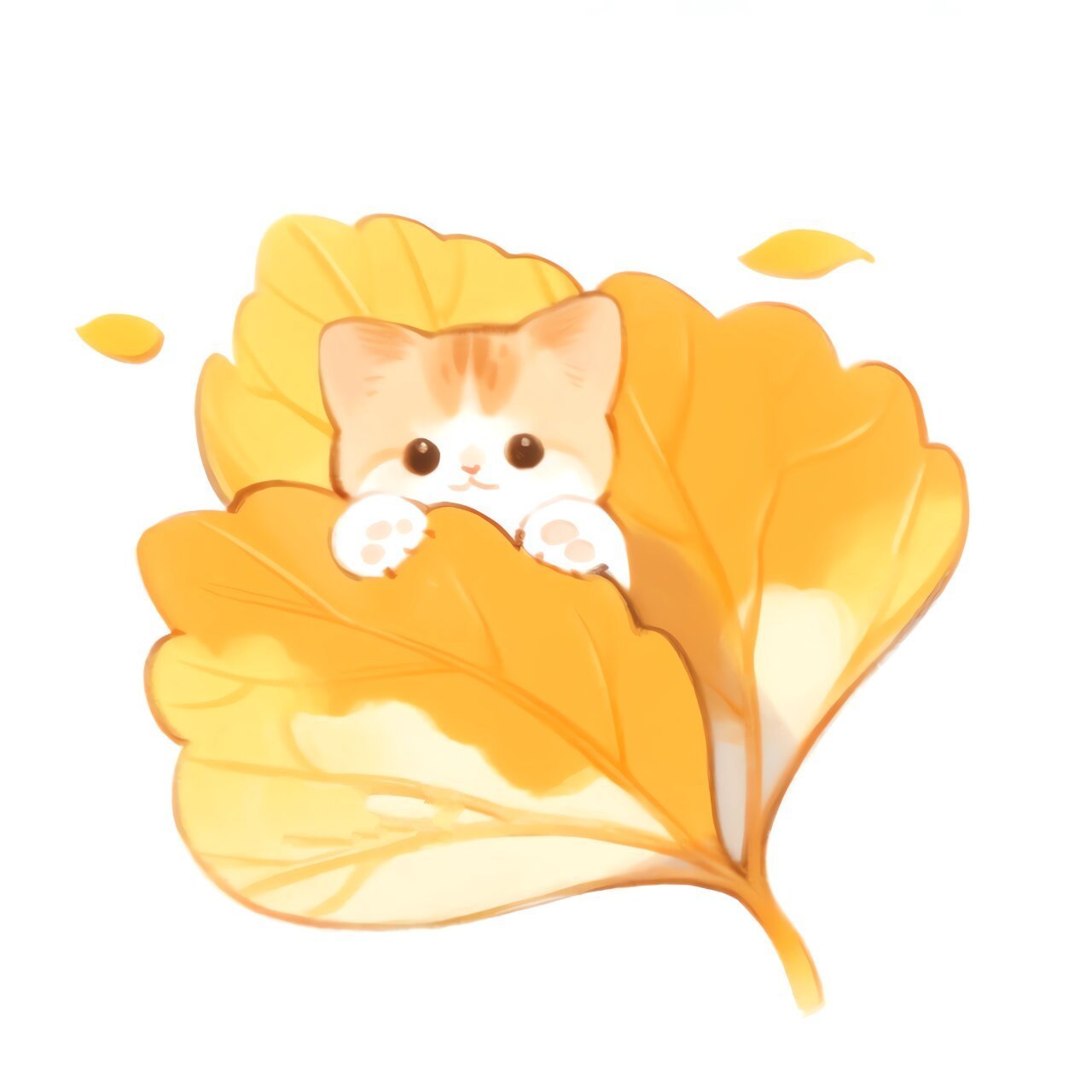 头像丨秋风衔来小欢喜,猫与落叶可爱头像