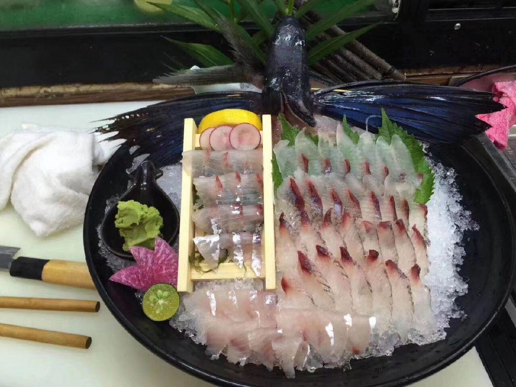 飞鱼🐟 刺身 香煎都很完美的鱼