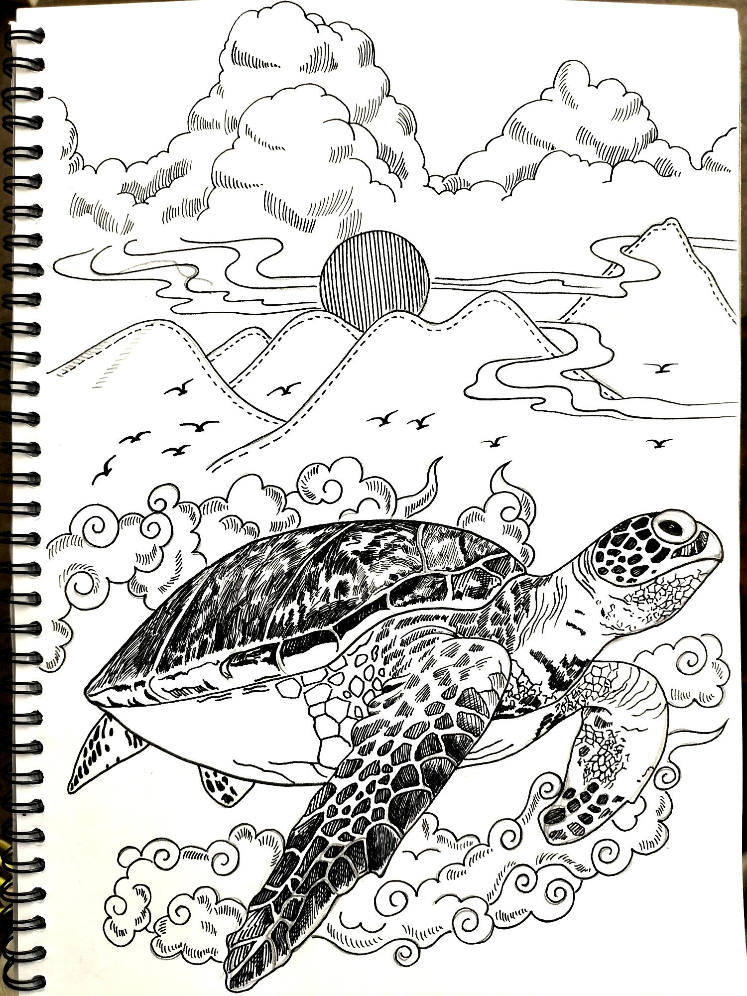 线描插画海龟