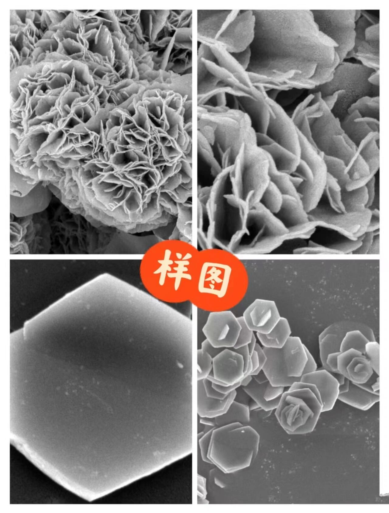 场发射扫描电子显微(fesem)代测 配备布鲁克eds能谱仪,可视频远程