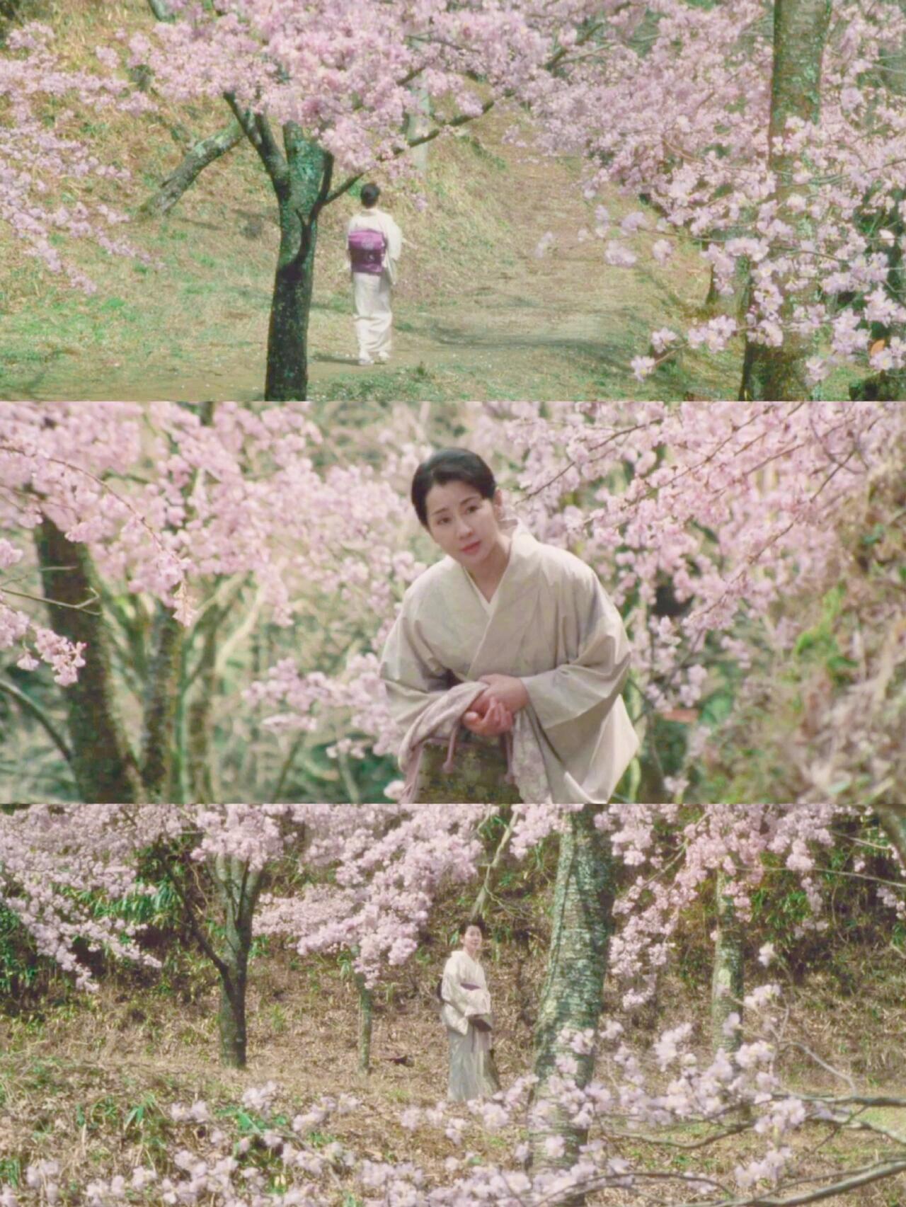 电影推荐97|春日樱花片单合集94粉色系小清新 	 春天来了还不快来