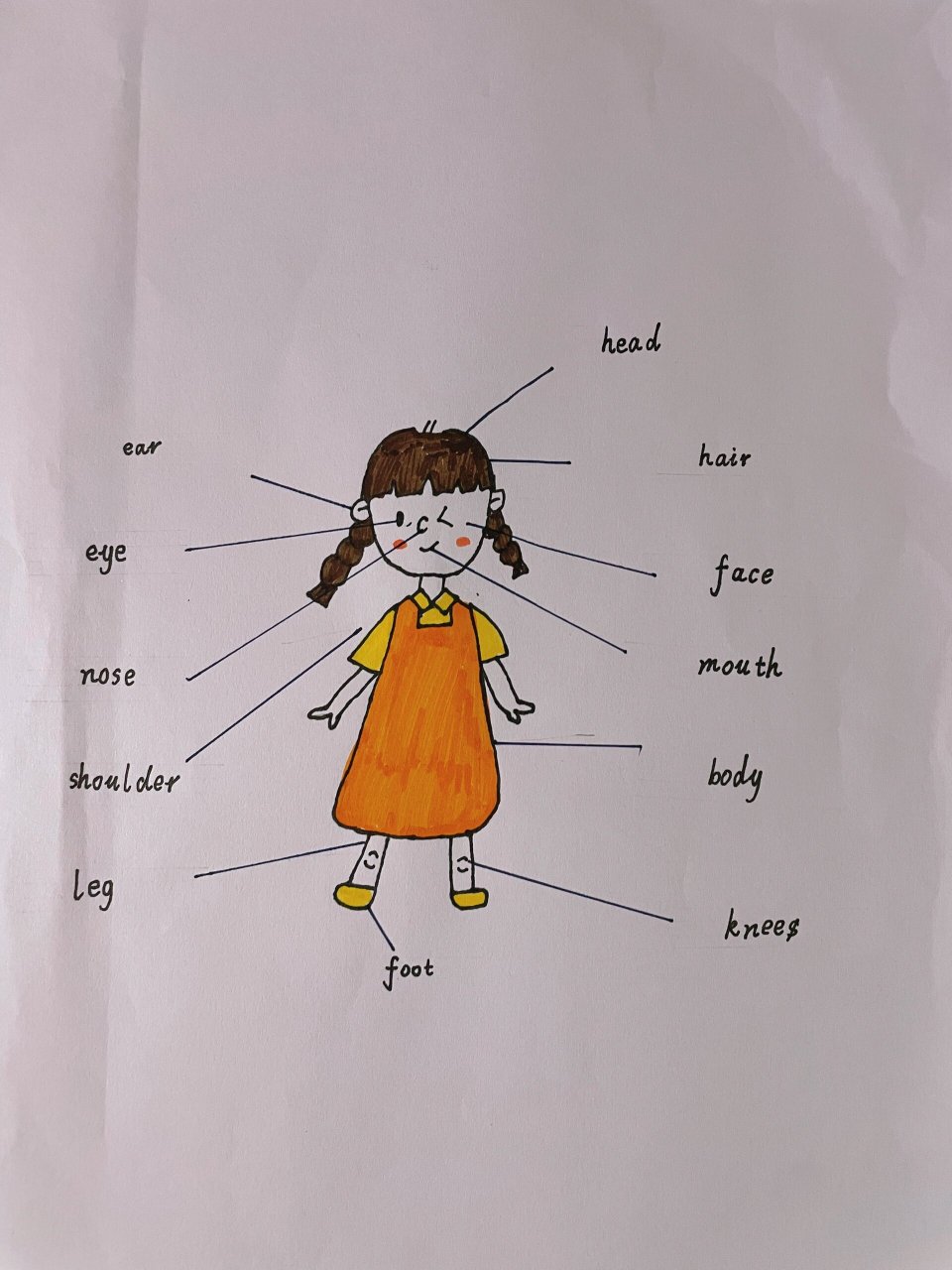 三年级 英语 身体部位 身体部位介绍