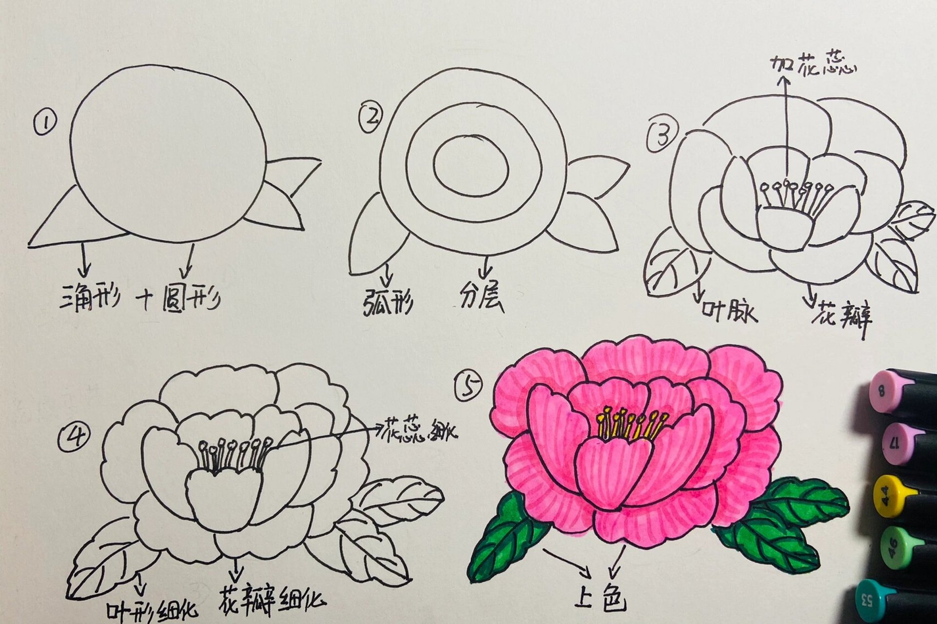 手抄报装饰物 牡丹花图片