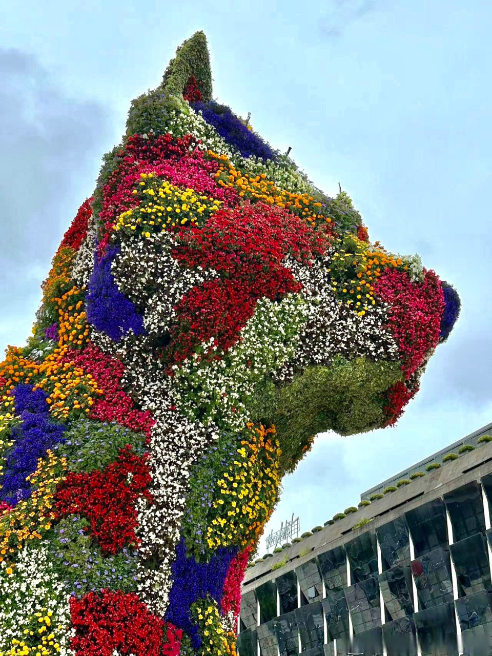 五花八门来源于图片