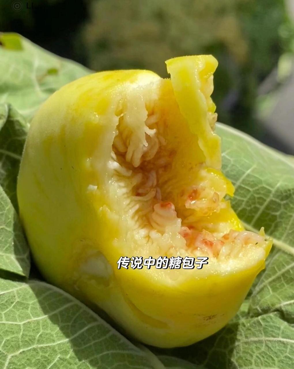 新疆糖包子—无花果 这个糖包子是天然的黄体酮,富有丰富的vc,对女性