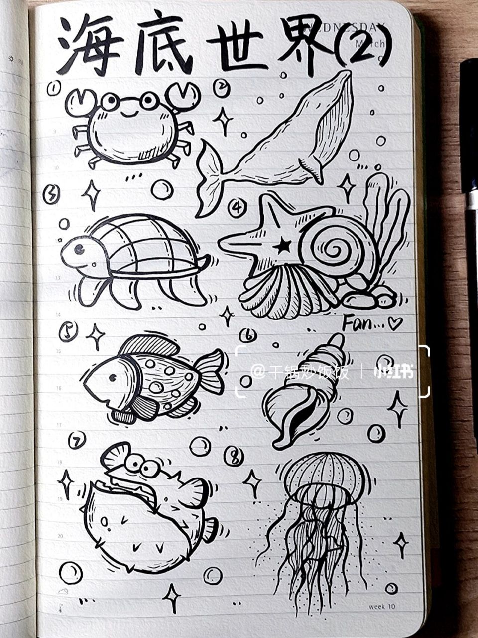 今日简笔画(53)‖海底世界95第二弹~ 97大家好啊~饭饭一不小心就