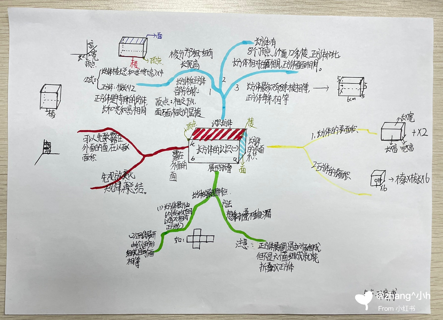 北师大五下数学二单元思维导图 思维导图长方体的认识