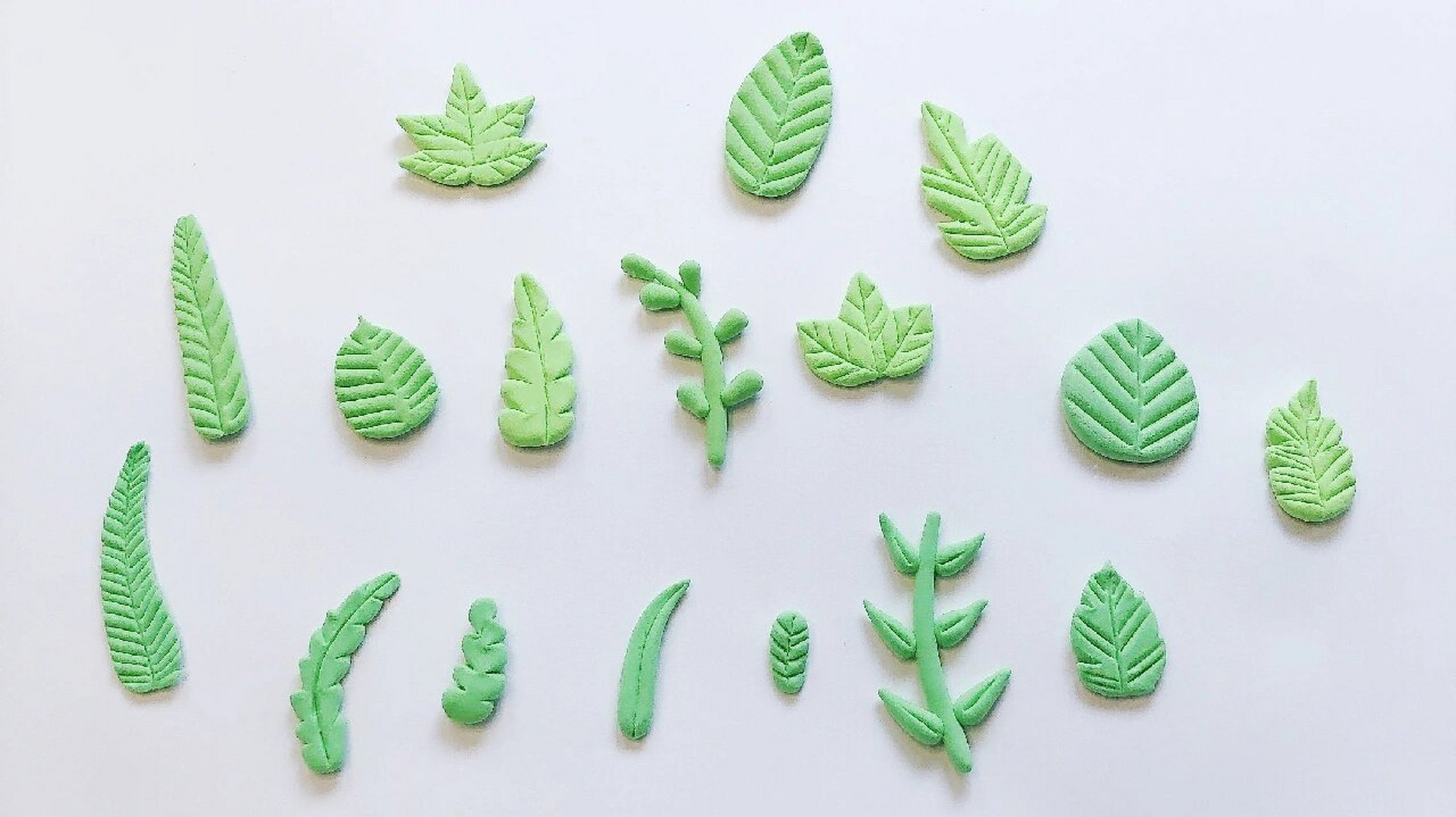 黏土树叶合集 做一些树叶集合,练习素材积累