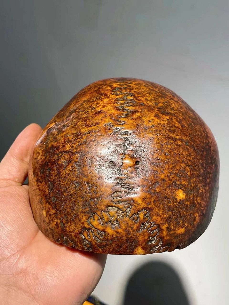 5厘米 这样的才算是真正到代的嘎巴拉