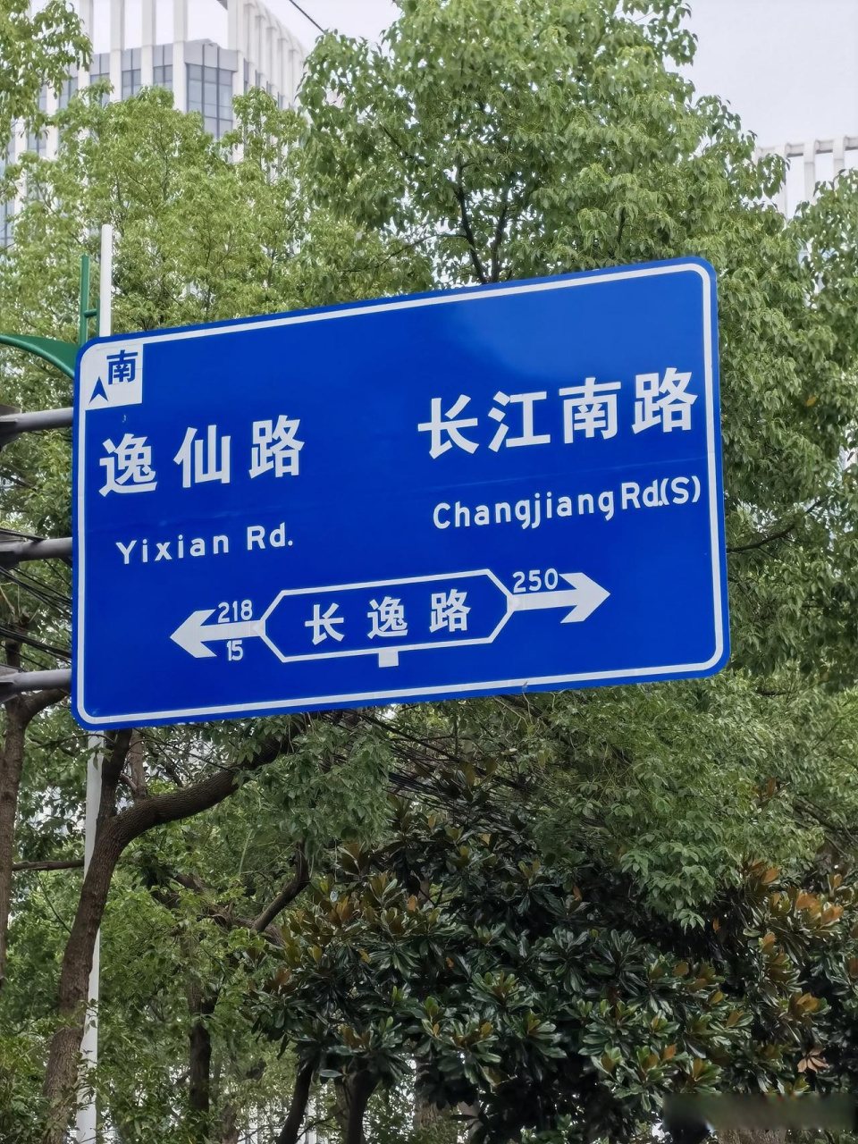 上海街路 上海"长逸路"是这样起的名字,看图片你就推断出来了.