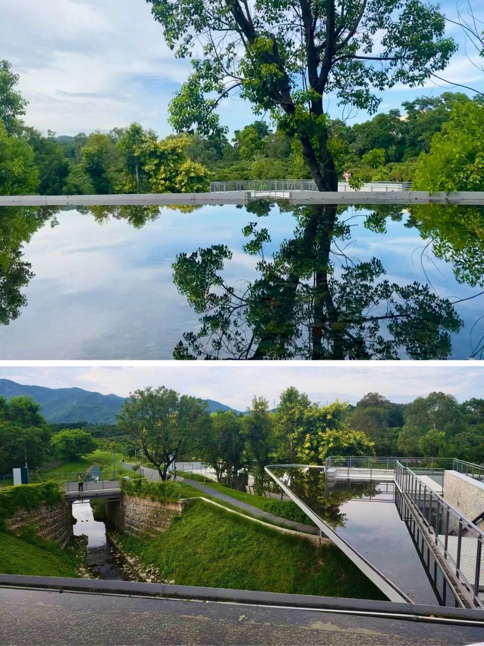 环西丽湖碧道|人少景美的绿道95惊喜与吐槽 西丽湖水库边上的环西丽