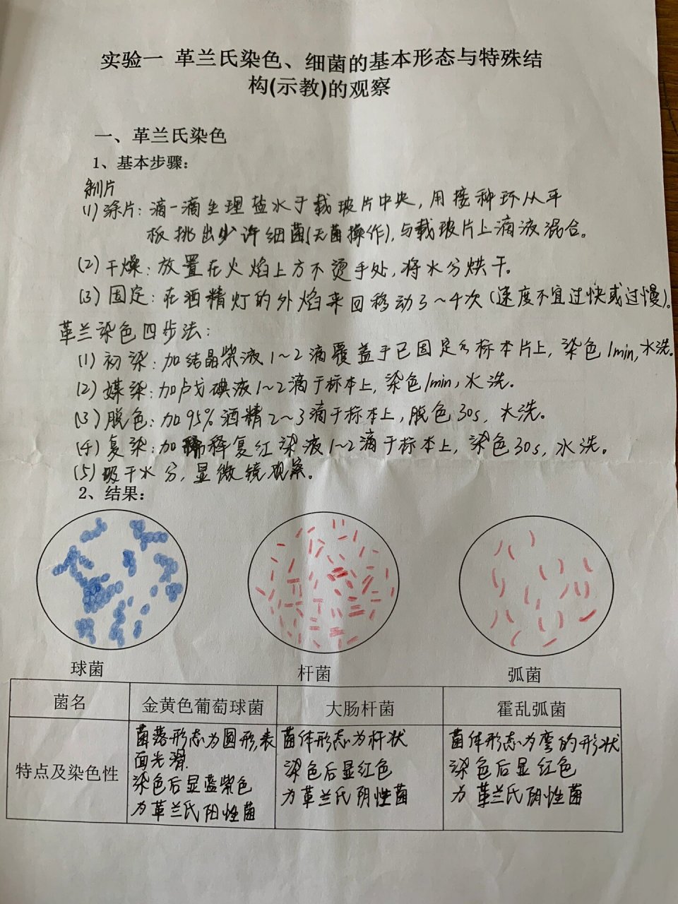 医学微生物学实验报告 p1-2实验一:革兰氏染色,细菌的基本形态与特殊