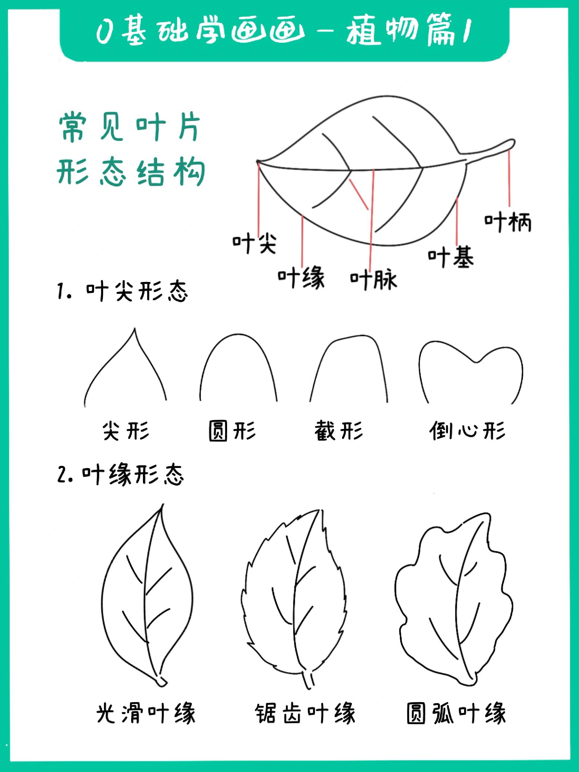 0基础学画画