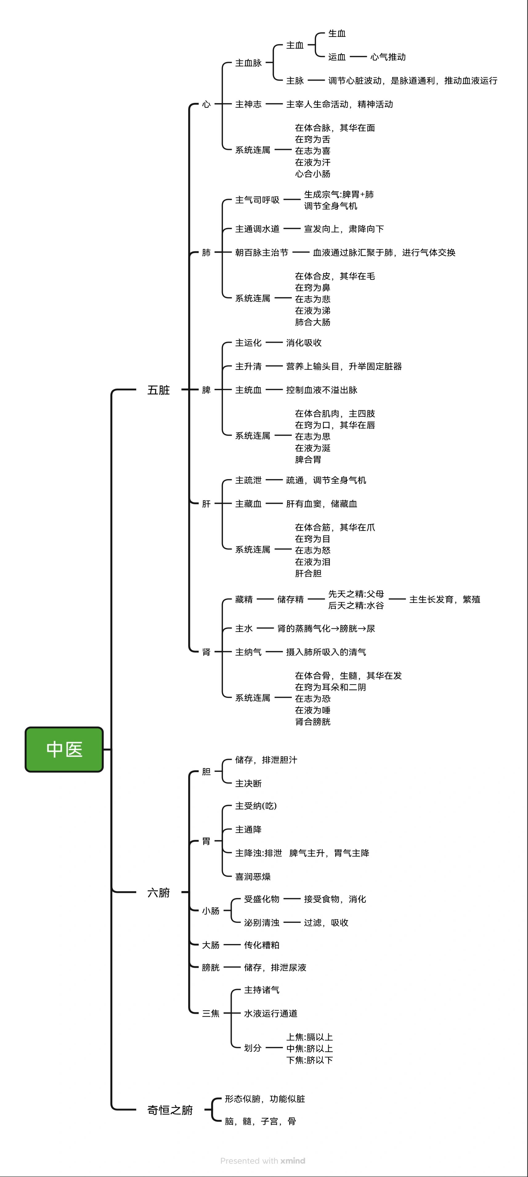 中医学思维导图