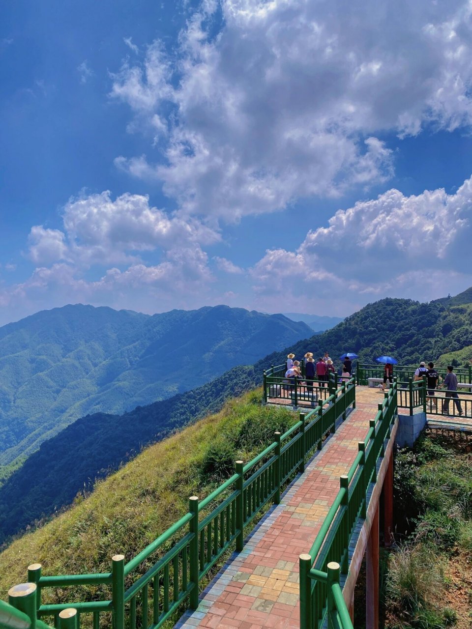 信宜竹海风景区图片